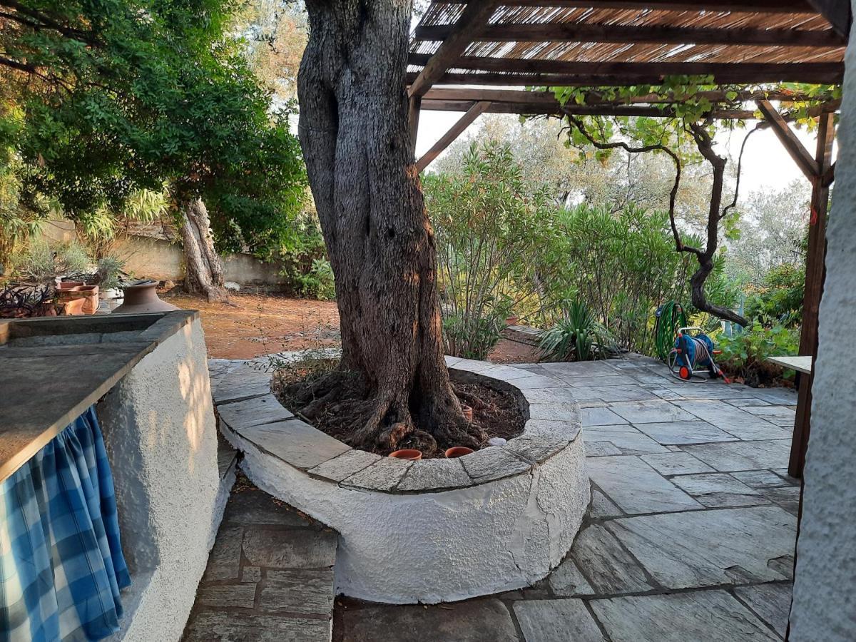 Villa Imelda Áfissos Extérieur photo