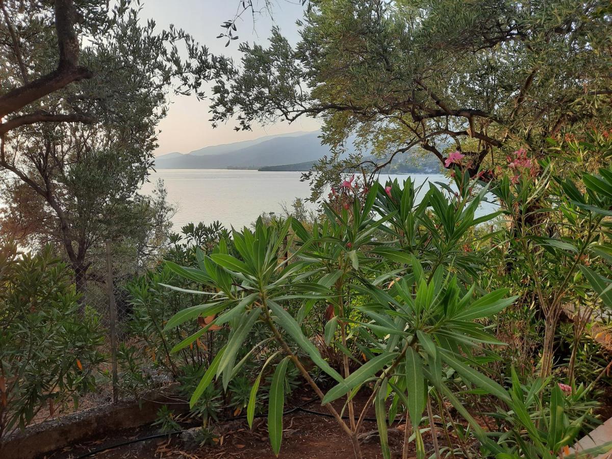 Villa Imelda Áfissos Extérieur photo