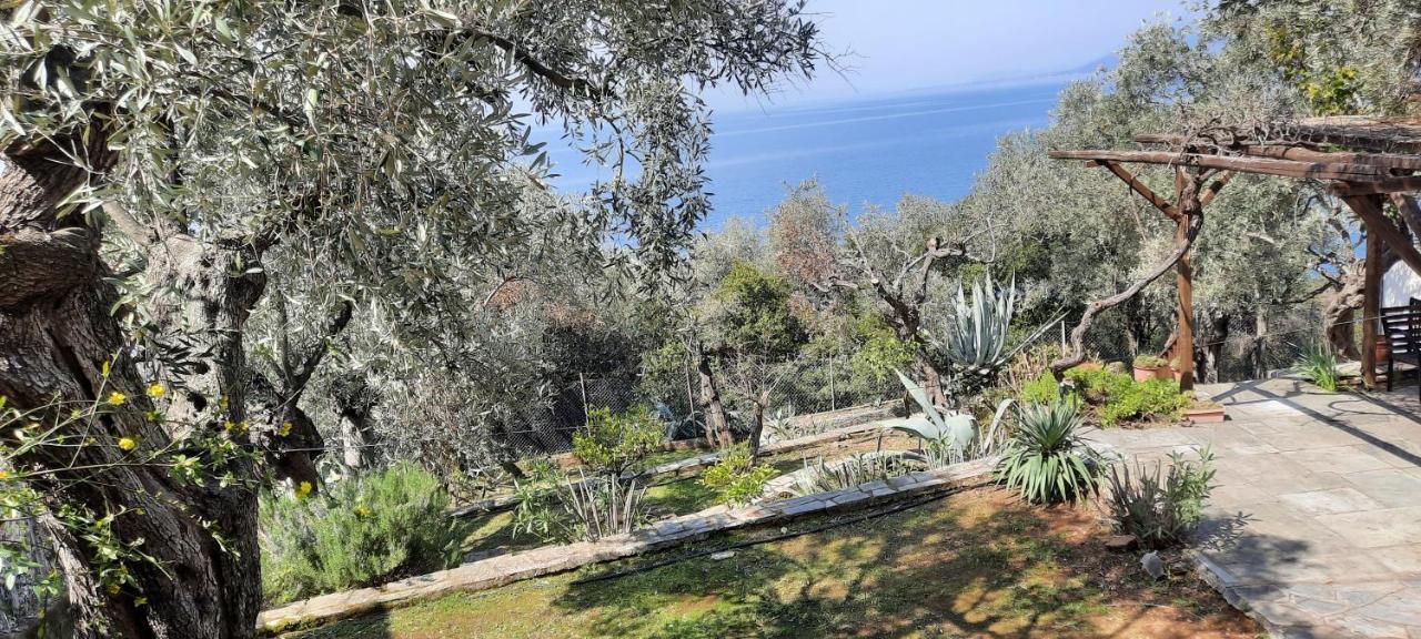 Villa Imelda Áfissos Extérieur photo