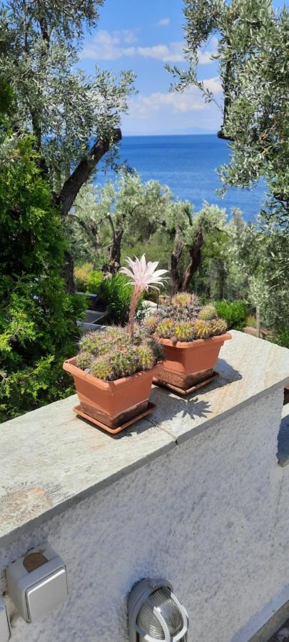 Villa Imelda Áfissos Extérieur photo