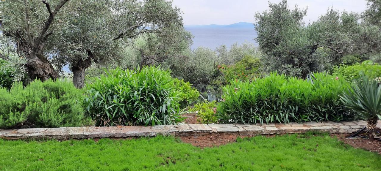 Villa Imelda Áfissos Extérieur photo
